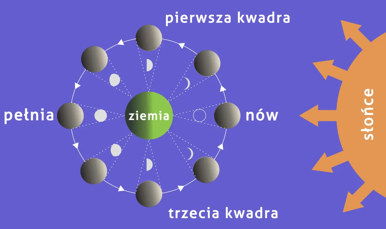 Zdjęcie Odrobaczanie w jakiej fazie księżyca? Odkryj skuteczne terminy!