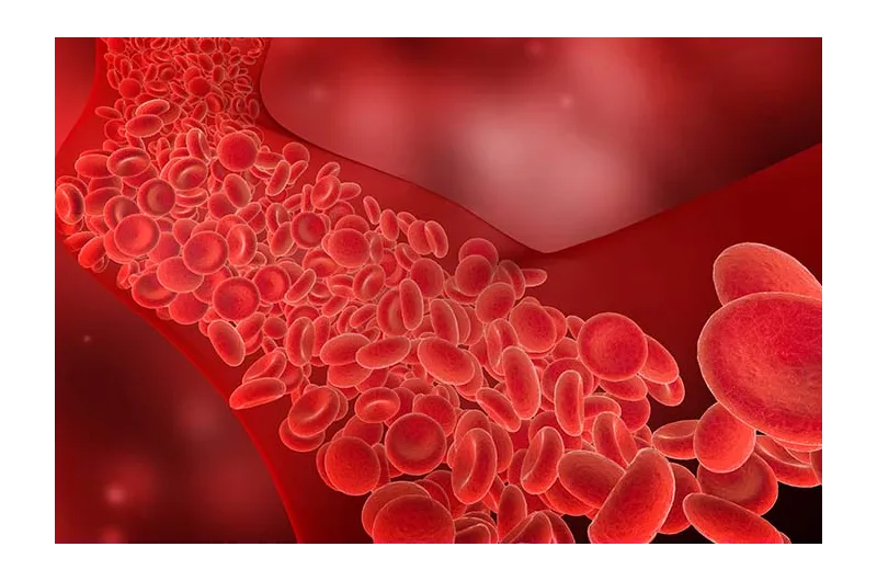 Zdjęcie D dimery co to za badanie i kiedy warto je wykonać w diagnostyce
