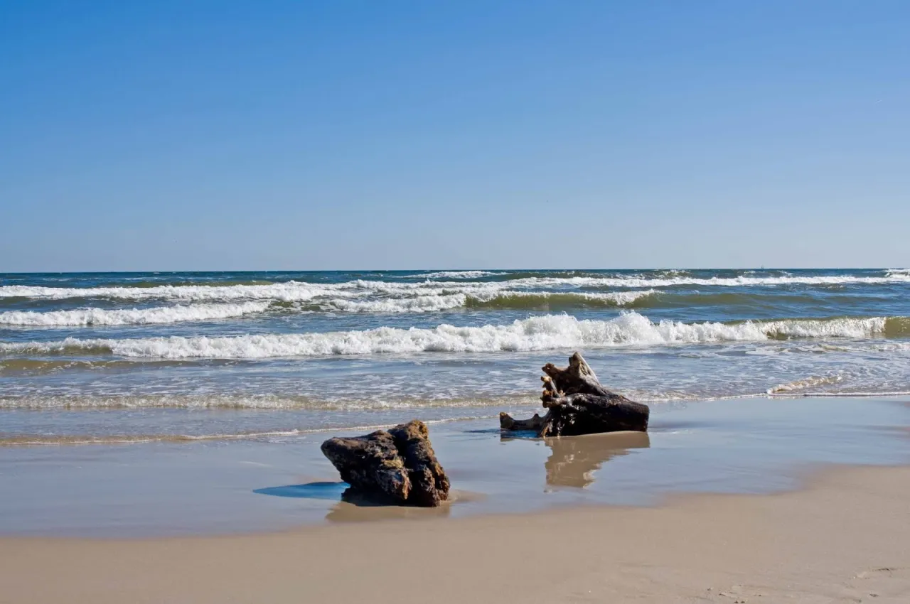 Zdjęcie Gdzie jest Jastrzębia Góra? Odkryj jej wyjątkową lokalizację nad morzem