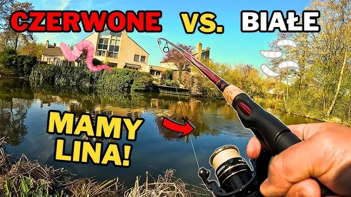 Zdjęcie Jakie ryby biorą na czerwonego robaka? Sprawdź skuteczne metody łowienia