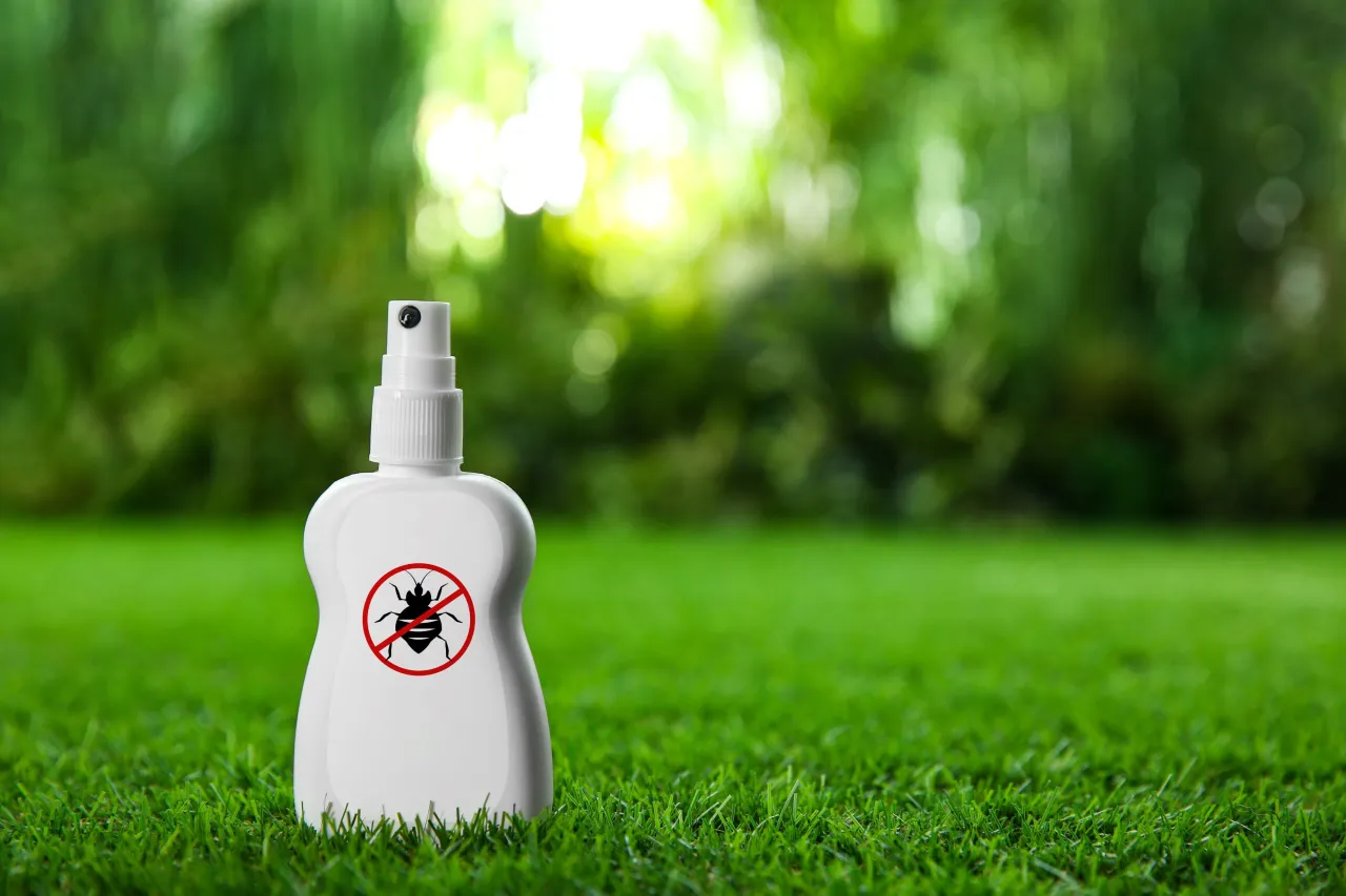 Zdjęcie Skuteczne metody na kleszcze - co odstrasza kleszcze naturalnie