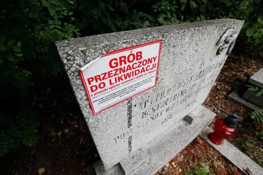 Zdjęcie Ile kosztuje piwniczka na cmentarzu? Ceny i ukryte opłaty, które musisz znać