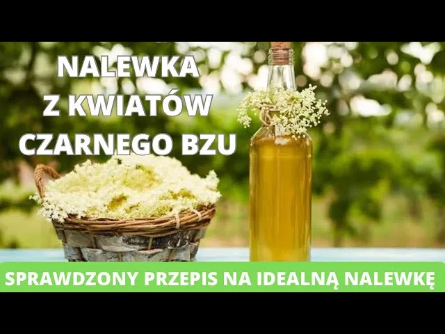 Zdjęcie Nalewka z czarnego bzu: Przepis, właściwości i sekrety mistrza
