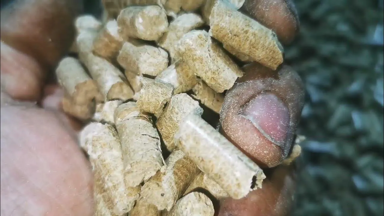 Zdjęcie Jak samemu zrobić pellet – prosty sposób na tanie i ekologiczne ogrzewanie