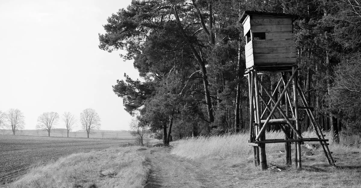 Zdjęcie Które trasy rowerowe na Śląsku oczarują Cię swoim pięknem? Top 7