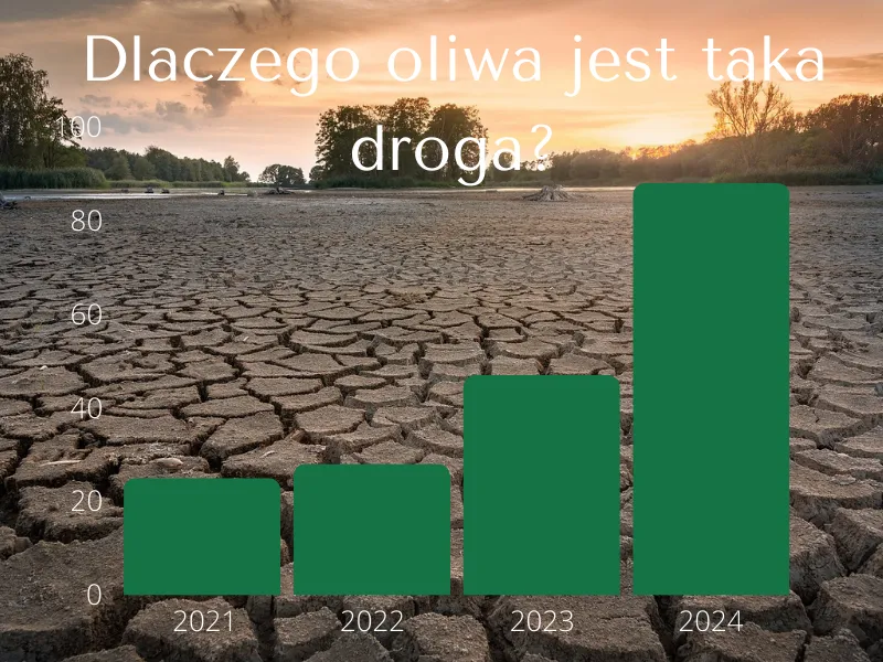 Zdjęcie Ile kosztuje oliwa z oliwek? Zaskakujące ceny i jakość na rynku