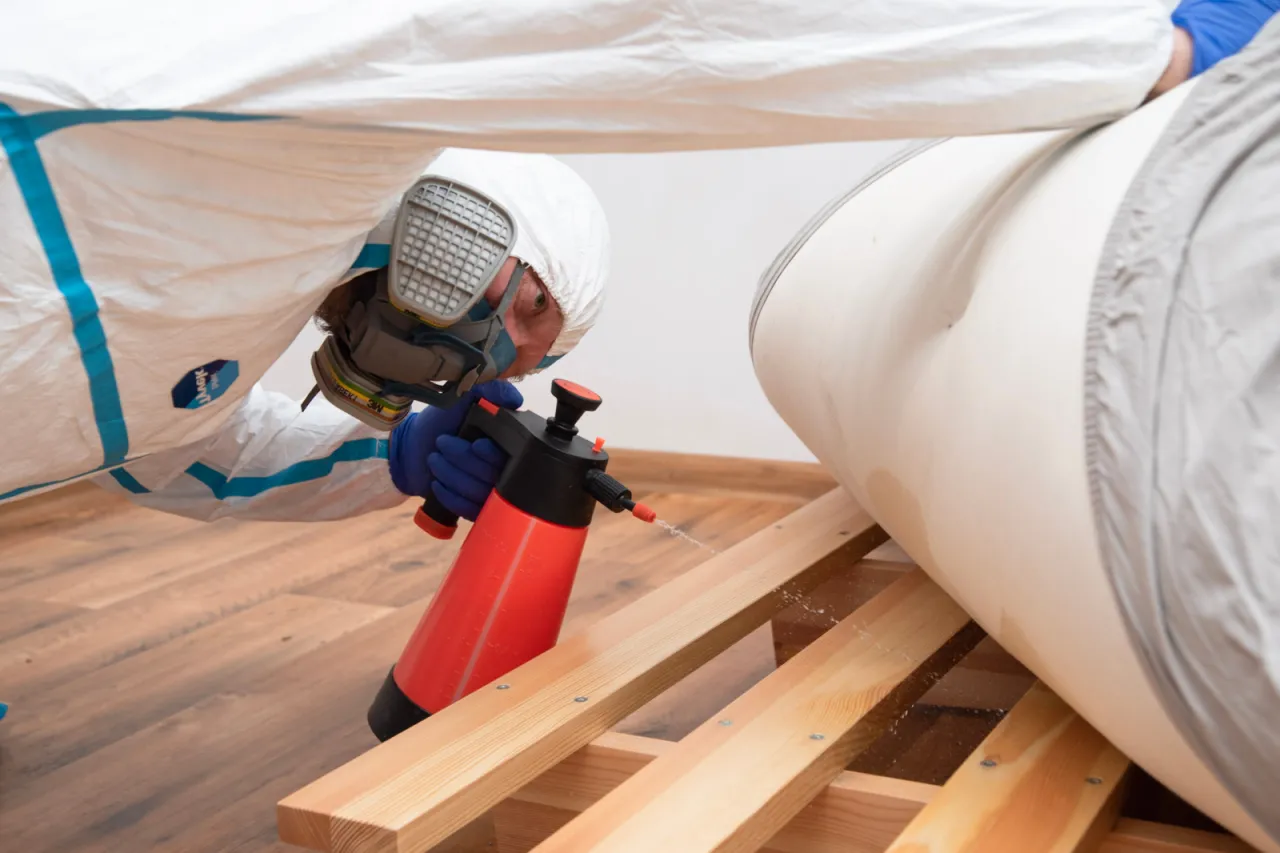 Zdjęcie Jak przygotować mieszkanie do dezynfekcji, aby uniknąć problemów z szkodnikami