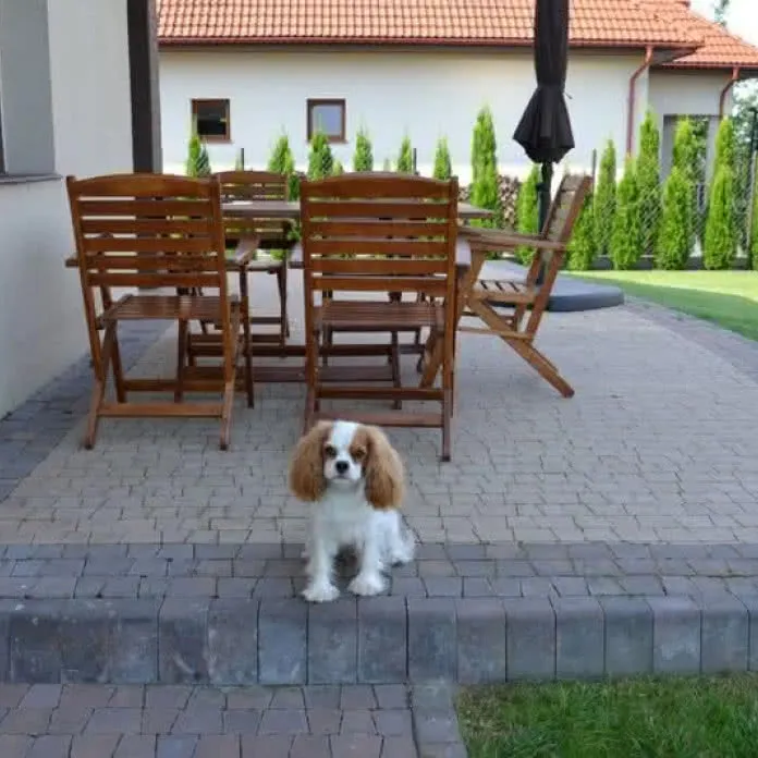 Zdjęcie Z czego zrobić taras na działce? 5 materiałów, które Cię zaskoczą