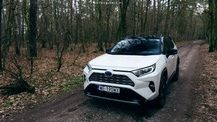 Zdjęcie Rzeczywiste spalanie Toyoty RAV4: wyniki testów i porównanie