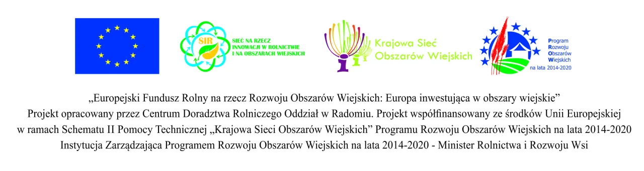 Zdjęcie Numer 882 jaka sieć - poznaj szczegóły i uniknij niepewności