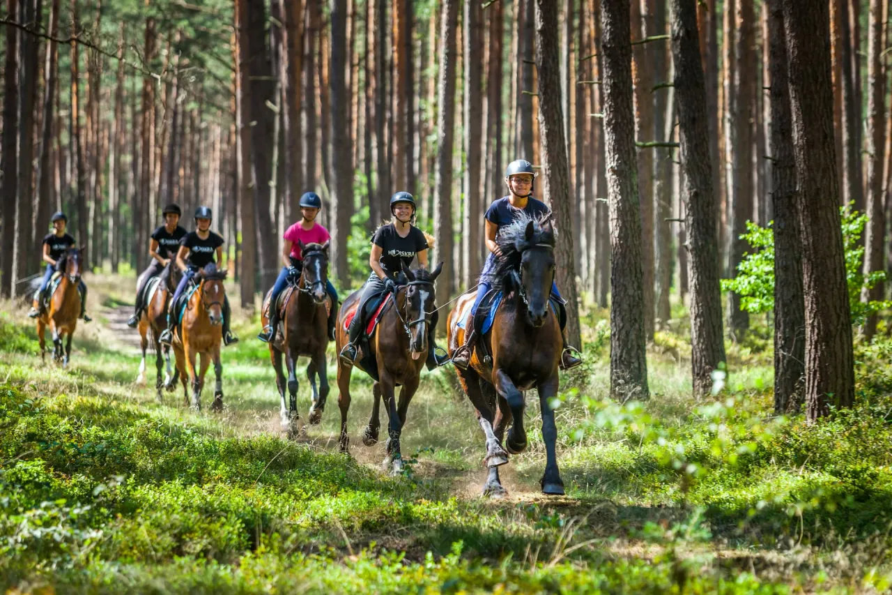 Zdjęcie Kurs jeździectwa w Polsce - poznaj najlepsze oferty i ceny kursów