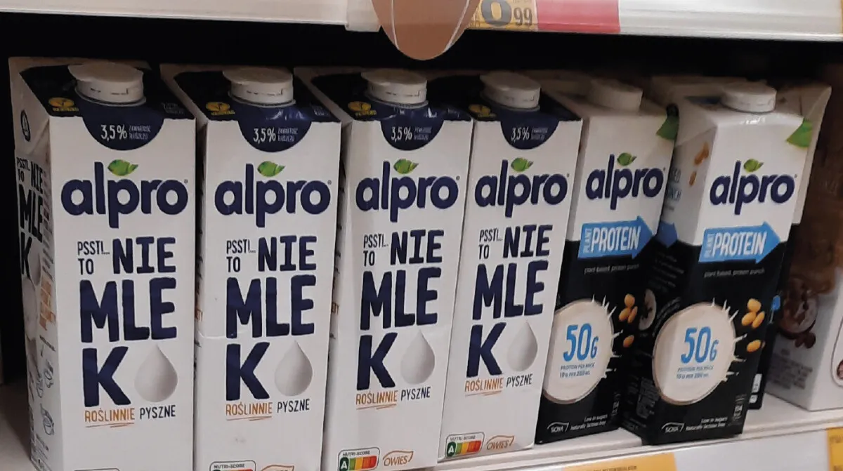 Zdjęcie Czy mleko w proszku jest wegańskie? Odkryj prawdę o alternatywach