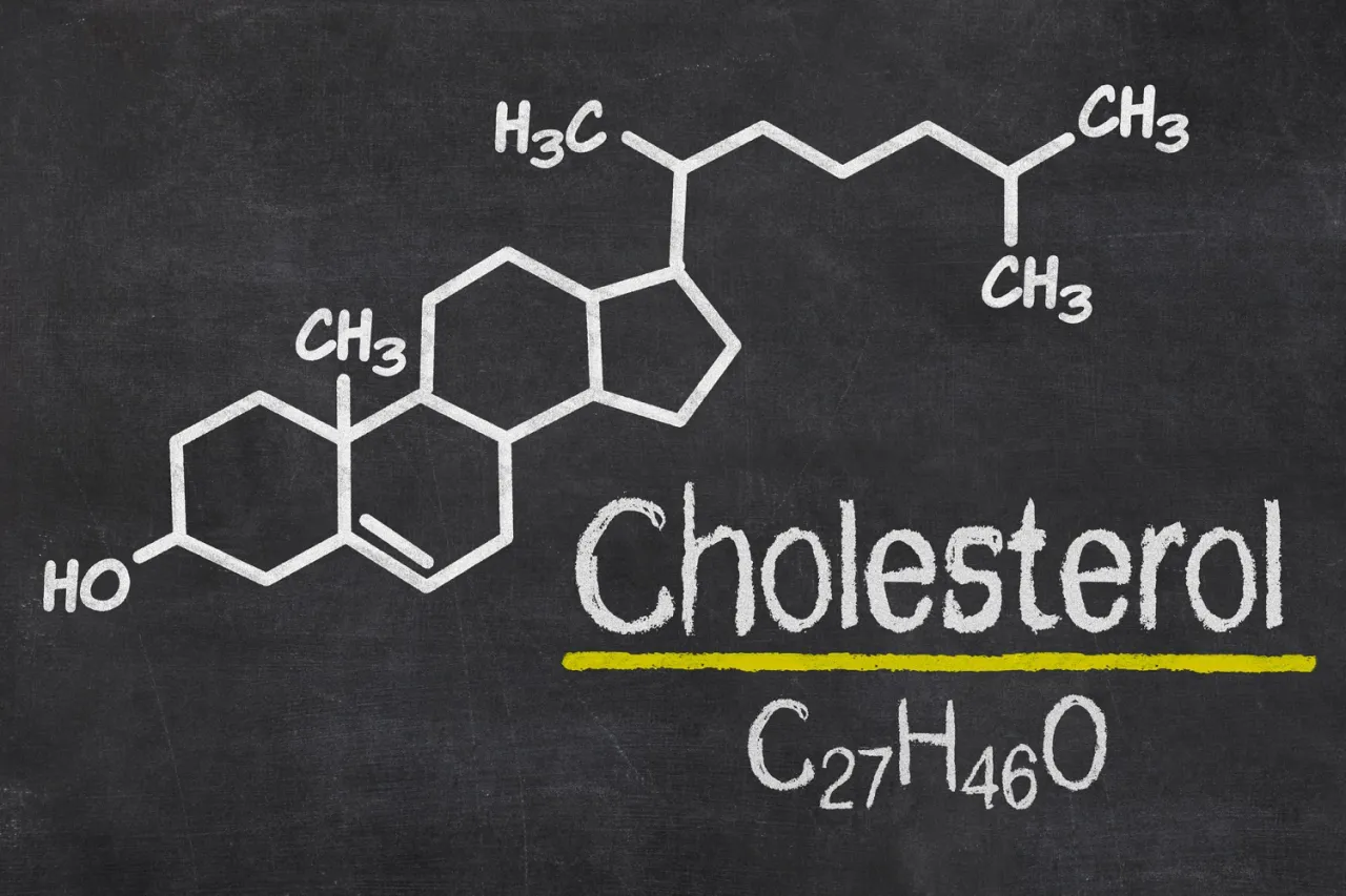 Zdjęcie Czym jest cholesterol? Rola, rodzaje i skutki dla zdrowia – wszystko, co musisz wiedzieć