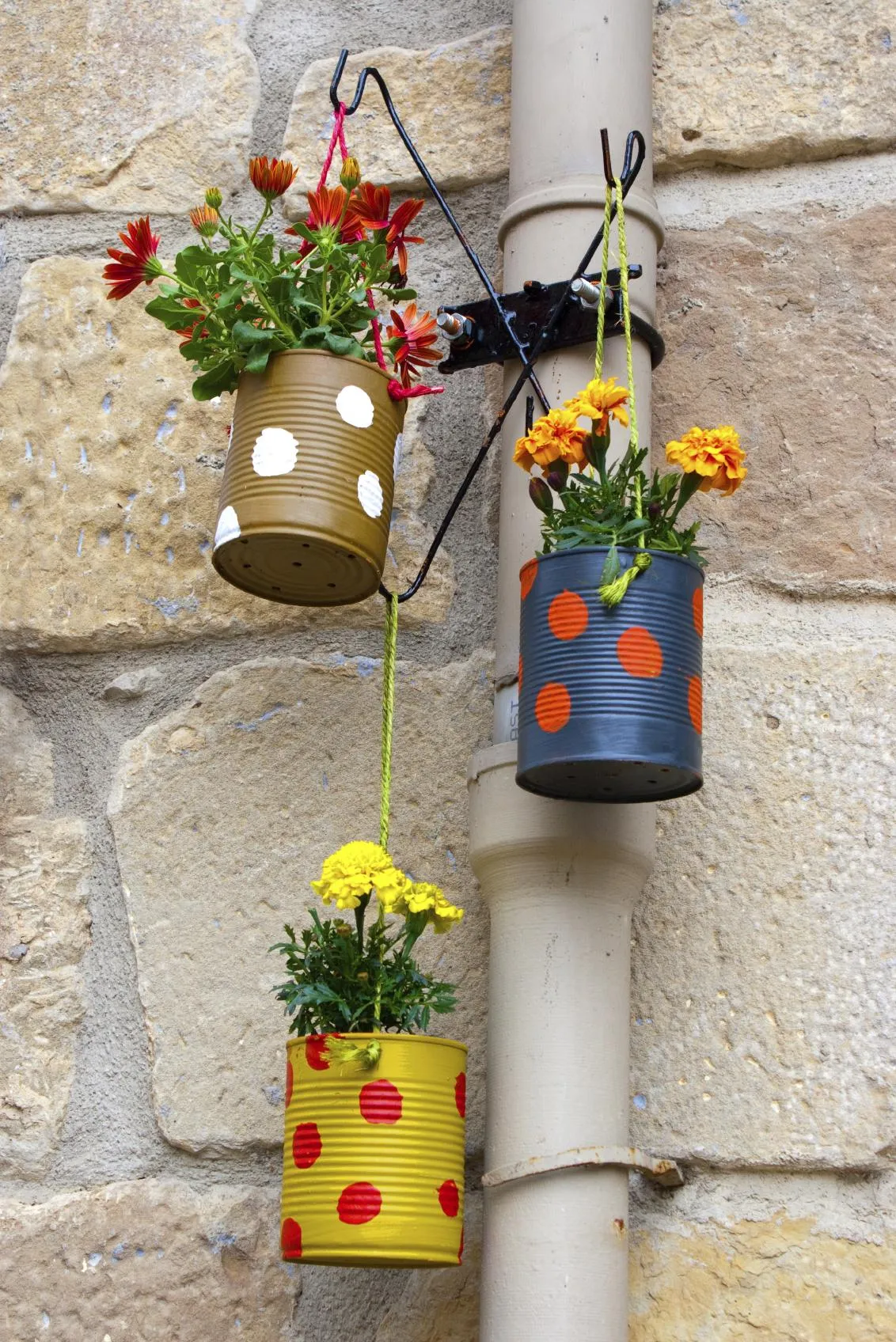 Zdjęcie Cómo hacer una maceta con cosas reciclables y darle vida a tu jardín