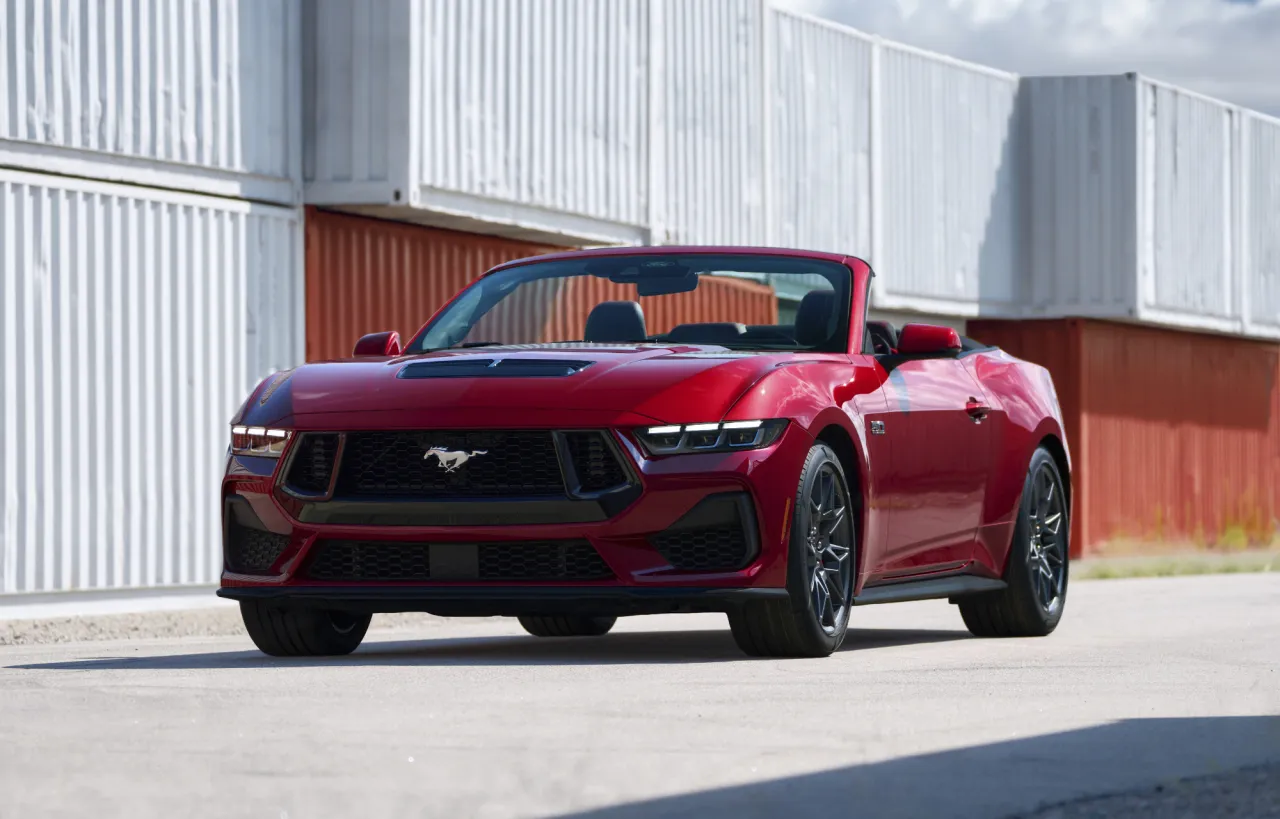 Zdjęcie Premiera filmu Mustang w kinach - poznaj szczegóły seansu animacji