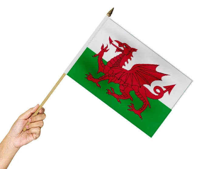 Zdjęcie Jak wygląda flaga Walii? Odkryj jej symbolikę i historię
