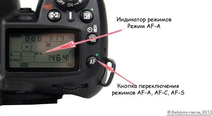 Zdjęcie Jak ustawić ostrość w aparacie Nikon, aby uniknąć nieostrych zdjęć?