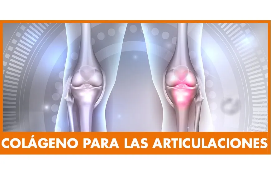 Zdjęcie Colágeno como suplemento: beneficios sorprendentes para piel y articulaciones