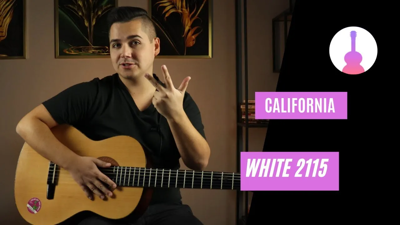 Zdjęcie Jak zagrać California na gitarze - proste akordy i techniki gry