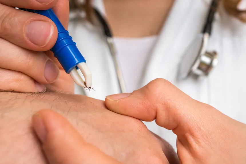 Zdjęcie Ile kosztuje test na boreliozę dla psa? Ceny, które musisz znać