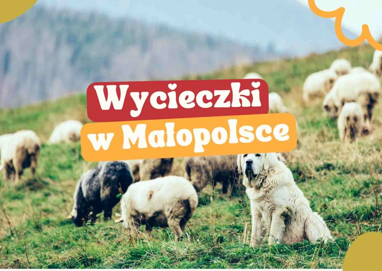 Zdjęcie Gdzie na wycieczkę z dzieckiem w Małopolsce? Odkryj najlepsze miejsca