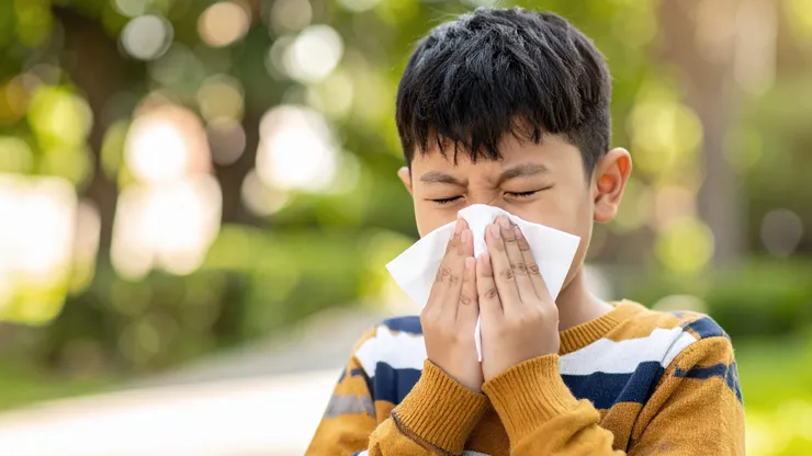 Zdjęcie Alergia na pyłki: objawy, różnice z przeziębieniem i skuteczne sposoby