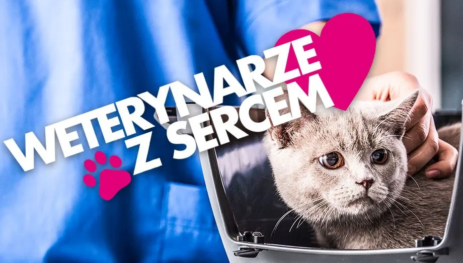 Zdjęcie Weterynarze z sercem kiedy emisja - sprawdź harmonogram i odcinki