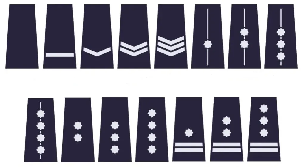 Zdjęcie Stopnie w polskiej policji: Jak wygląda hierarchia? Pełna lista