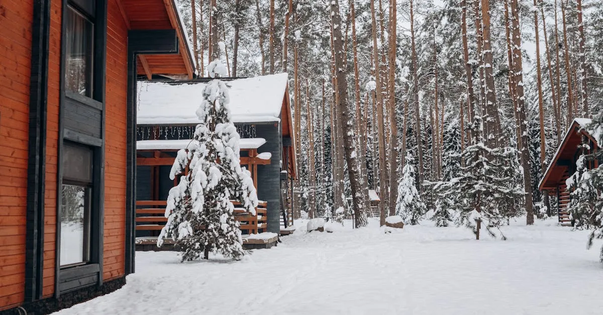 Zdjęcie Czy Kochankowie z kręgu polarnego to najpiękniejszy romans?