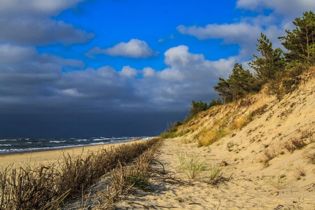 Zdjęcie Ile km plażą z Łeby na wydmy? Sprawdź, ile naprawdę musisz przejść