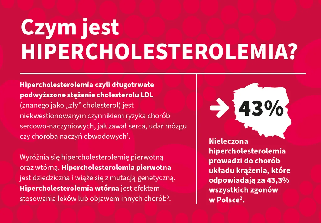 Zdjęcie Hipercholesterolemią jaki lekarz - jak uniknąć poważnych problemów zdrowotnych