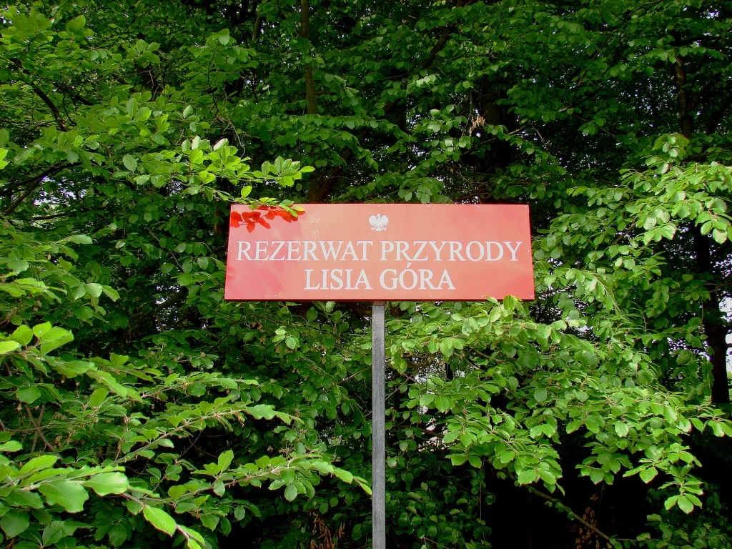 Zdjęcie Rezerwat przyrody Lisia Góra – odkryj unikalne piękno i ochronę