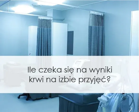 Zdjęcie Ile się czeka na badania krwi? Sprawdź czas oczekiwania na wyniki