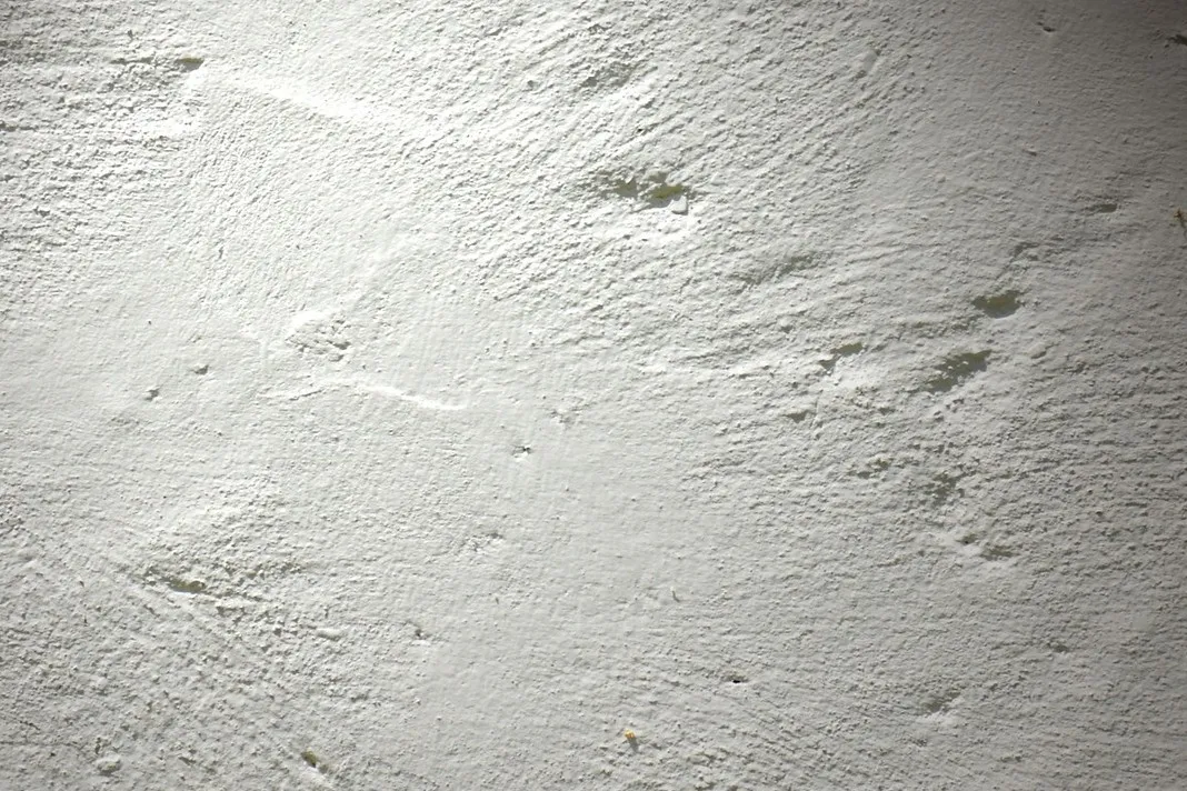 Zdjęcie Jaki papier ścierny do gipsu wybrać, aby uniknąć błędów w szlifowaniu?