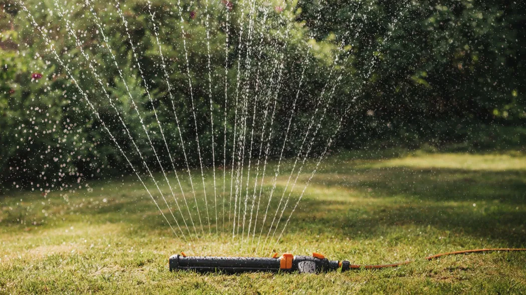 Zdjęcie Wybierz idealny zraszacz ogrodowy: Uniknij błędów, oszczędź wodę