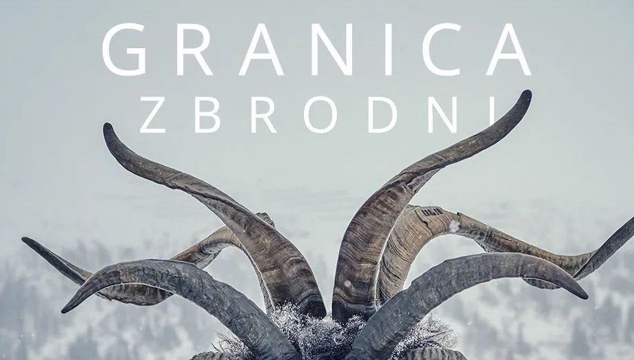 Zdjęcie Granica zbrodni sezon 2 - poznaj wszystkie odcinki mrocznego serialu