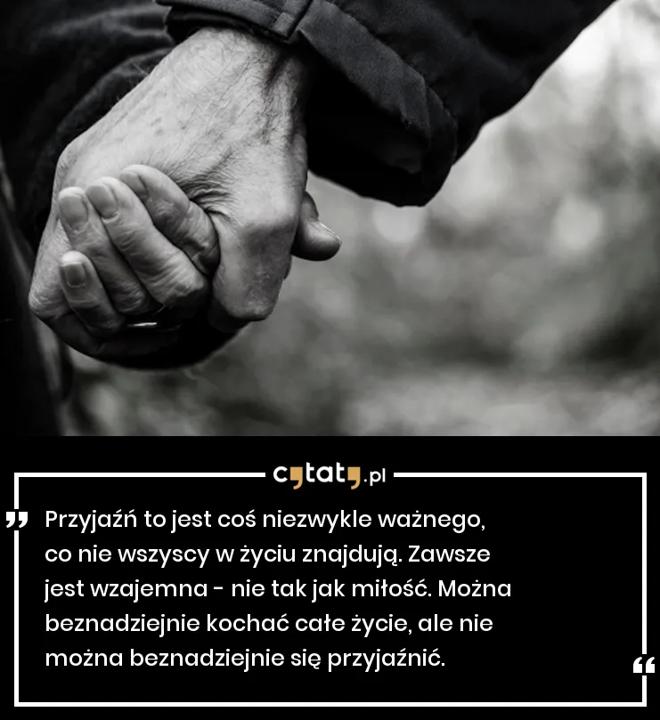 Zdjęcie Cytaty o przyjaźni, które zmienią twoje spojrzenie na relacje i życie
