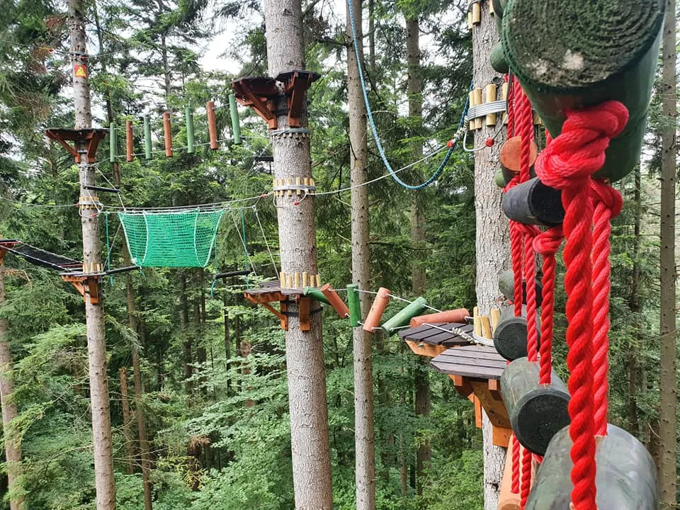 Zdjęcie Polańczyk park linowy – atrakcje, bezpieczeństwo i godziny otwarcia