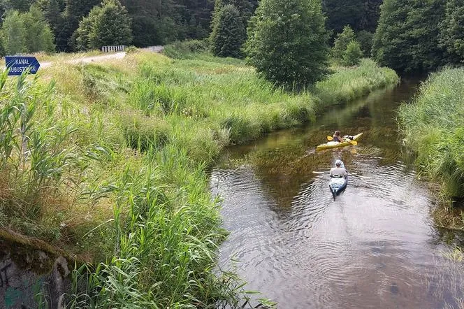 Zdjęcie Gdzie na kajaki na Podlasiu? Najlepsze trasy, wypożyczalnie i porady dla początkujących