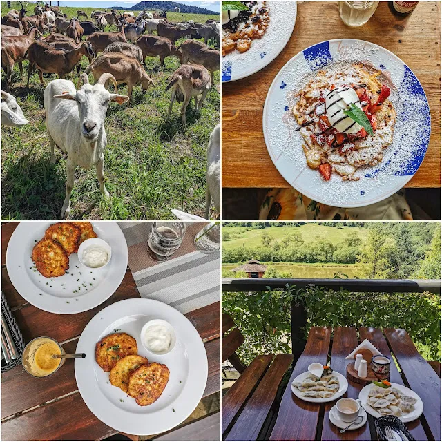 Zdjęcie Bieszczady gdzie zjeść – 10 miejsc z pyszną regionalną kuchnią