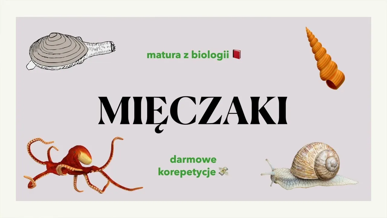 Zdjęcie Jak rozmnażają się mięczaki? Odkryj fascynujące strategie ich rozrodu