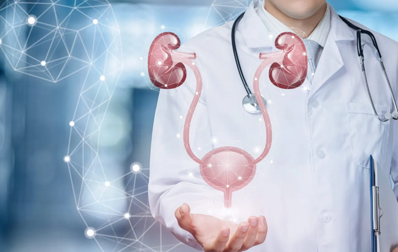 Zdjęcie Kto leczy nerki? Nefrolog i jego rola w diagnozowaniu chorób nerek