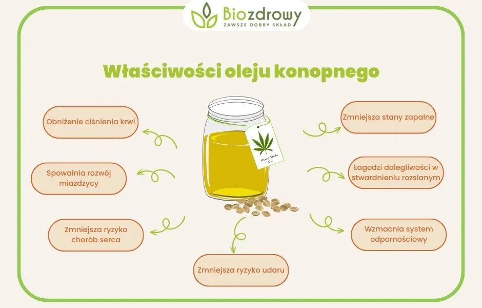 Zdjęcie Olej konopny z czego jest zrobiony? Poznaj jego skład i właściwości zdrowotne