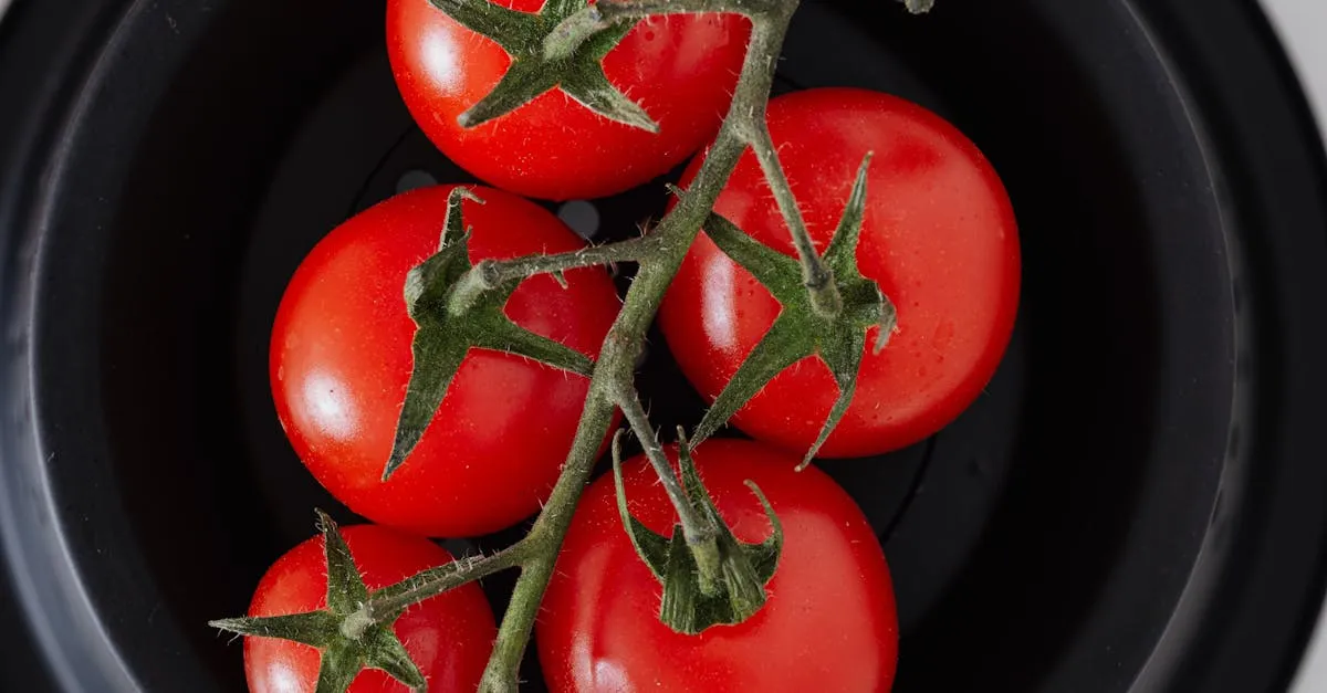 Zdjęcie 5 zaskakujących przepisów na najlepszą zupę odmieni Twoje menu!