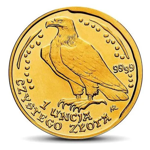 Zdjęcie Gdzie kupić monetę Orzeł Bielik NBP? Sprawdź najlepsze miejsca i ceny!