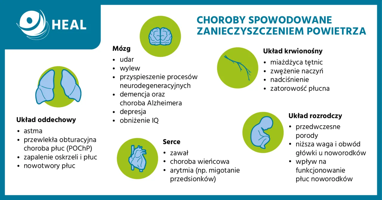 Zdjęcie Z czego składa się smog i jak wpływa na nasze zdrowie?