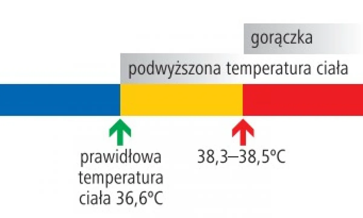 Zdjęcie Gorączka u dziecka: kiedy iść do szpitala i jak rozpoznać objawy