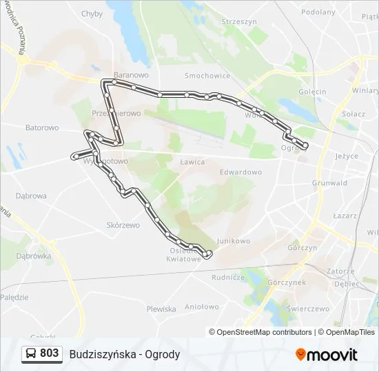 Zdjęcie Rozkład jazdy autobus 803 do Ogrodów - sprawdź godziny odjazdów