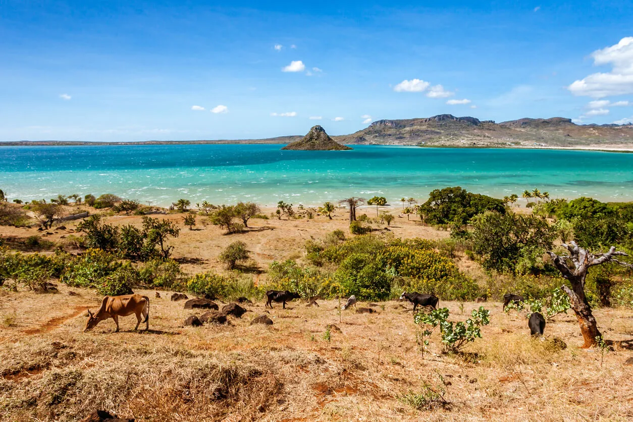 Zdjęcie Madagaskar kiedy jechać: najlepszy czas na niezapomnianą podróż