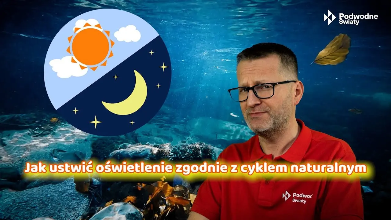 Zdjęcie Jak długo świecić światło w akwarium, aby uniknąć problemów z rybami?